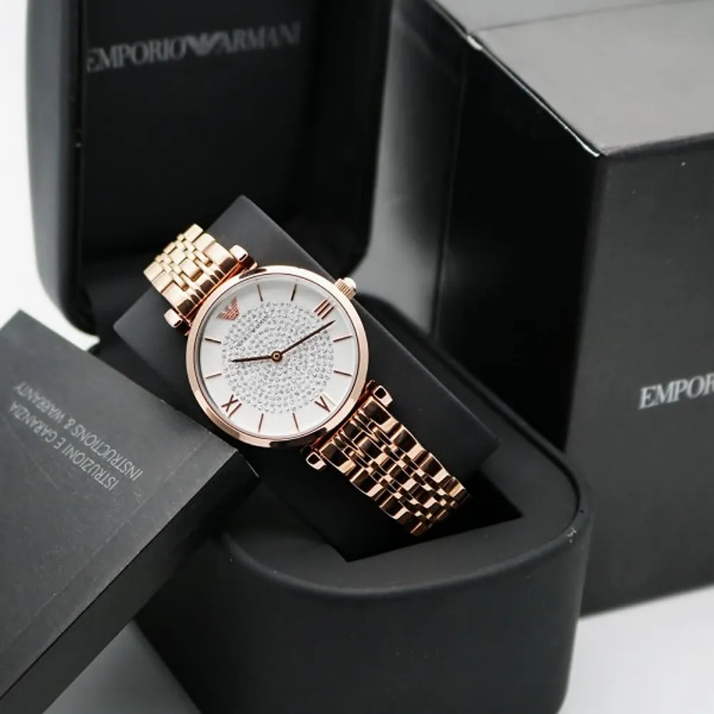 Emporio Armani Watch Classic For Women (SW77)