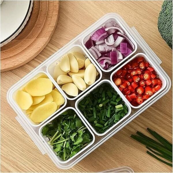 Food Storage Box With Lid And 6 Compartments