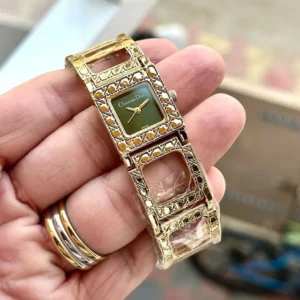 Christian Dior Watch Gold-Green For Women (SW343)