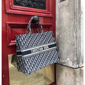 Stylish Christian Dior Handbag For Women (LAB1188)